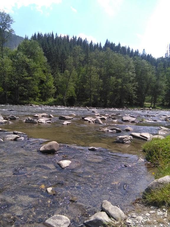 Котедж "Барвінок" ヴェルホヴィナ エクステリア 写真