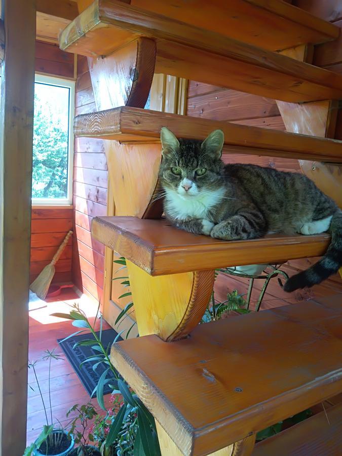 Котедж "Барвінок" ヴェルホヴィナ エクステリア 写真